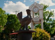 Takoma Park rooster statue and sign
