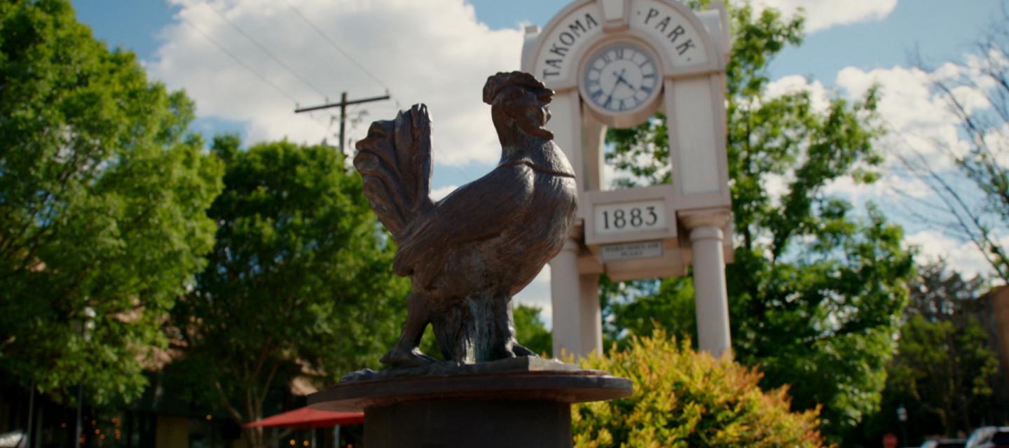 Takoma Park rooster statue and sign